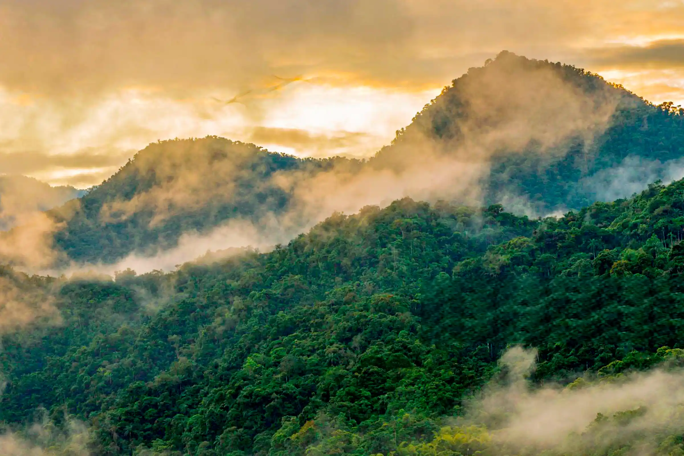 mindo cloud forest hero